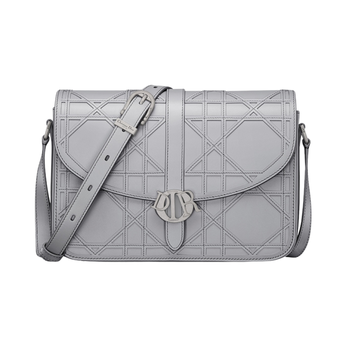 디올 참 백 그레이 코스모 레더(Dior Charm Bag Gray Cosmo Leather) - 1