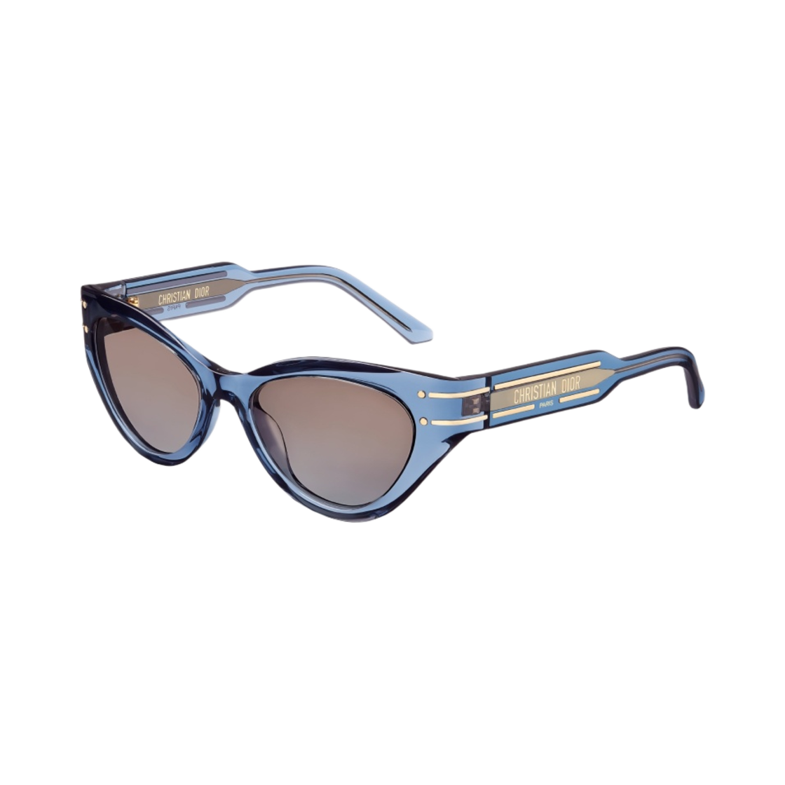(W) 디올 디올시그니쳐 B7I 버터플라이 선글라스 트랜스루센트 블루((W) Dior Diorsignature B7I Butterfly Sunglasses Translucent Blue) - 1