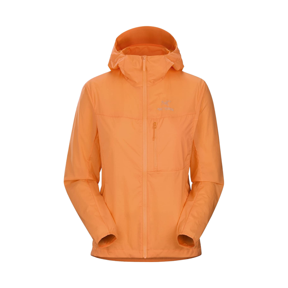 (W) 아크테릭스 스쿼미시 후디 호라이즌((W) Arc'teryx Squamish Hoody Horizon)