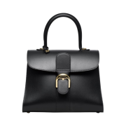 Delvaux Brillant MM Box Calf Black