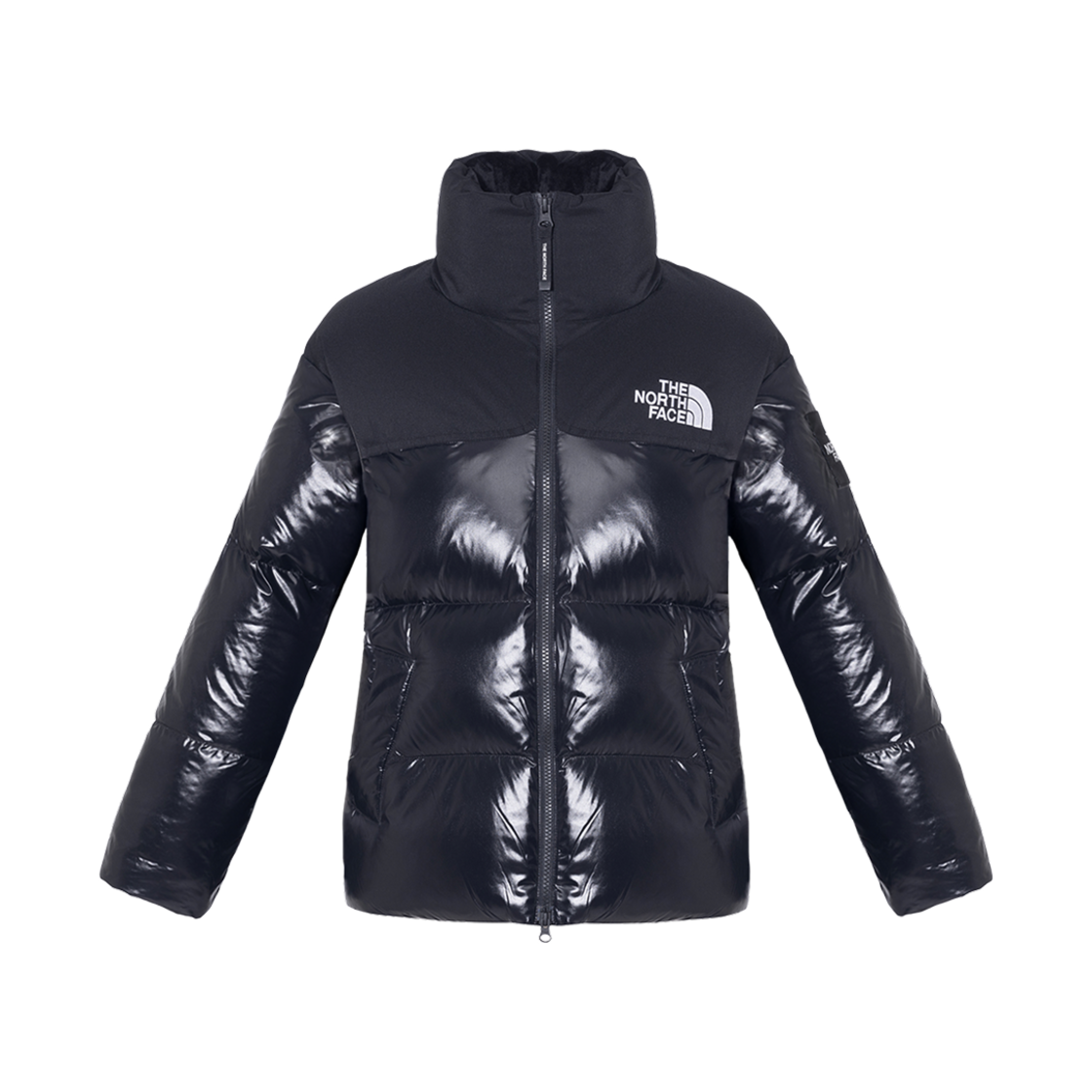 NJ1DR81J (W) The North Face Novelty Nuptse RDS Down A-Fit Black - 25SS