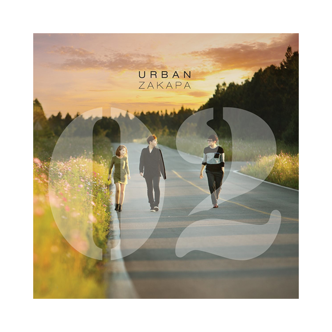 어반자카파 정규 2집 02 LP 블랙(Urban Zakapa 2nd Album 02 LP Black) - 1