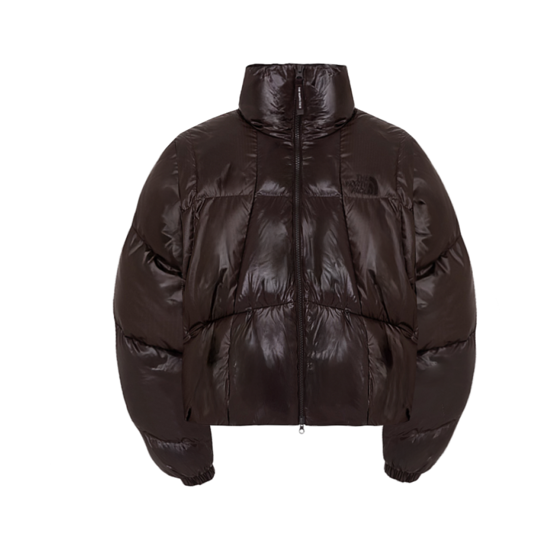 (W) 노스페이스 화이트 라벨 웨이브 RDS 다운 파카 브라운((W) The North Face White Label Wave RDS Down Parka Brown) - 1