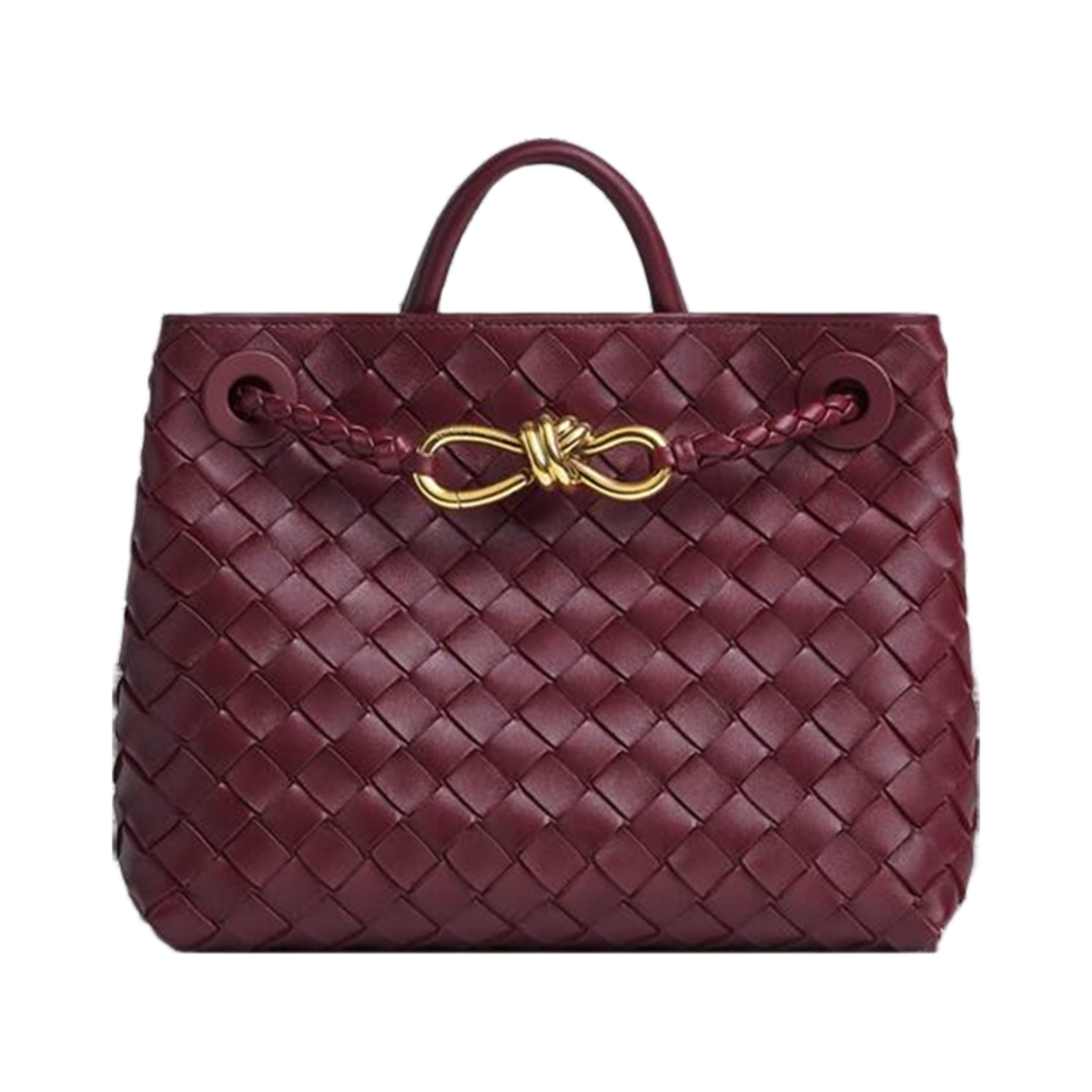 766014VCPP12273 Bottega Veneta Small Andiamo Barolo