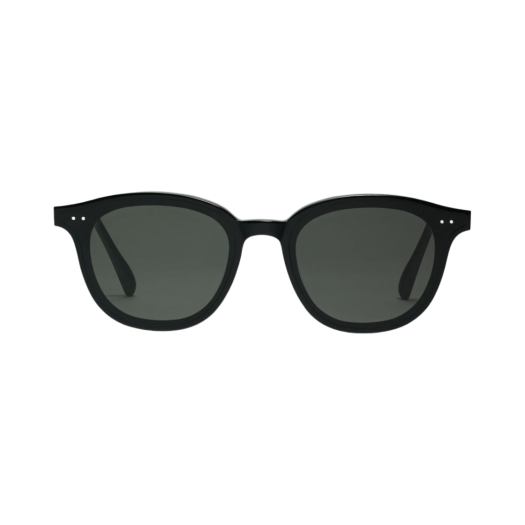 Gentle Monster Lang 01 Black