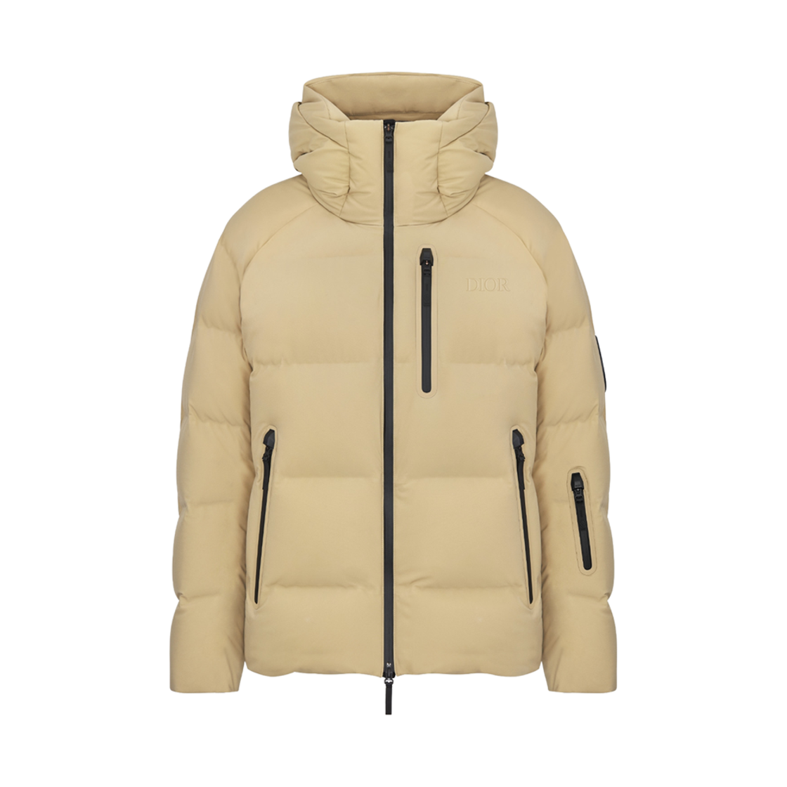 디올 데상트 리브 피터 도이그 퀼티드 다운 스키 자켓 베이지 테크니컬 태피터(Dior Descente And Peter Doig Quilted Down Ski Jacket Beige Technical Taffeta)