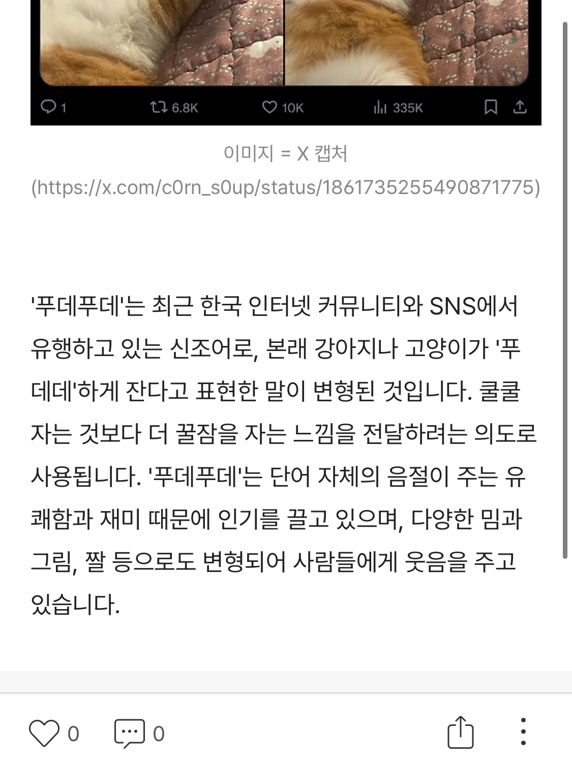 애옹잉태님의 스타일 - 4