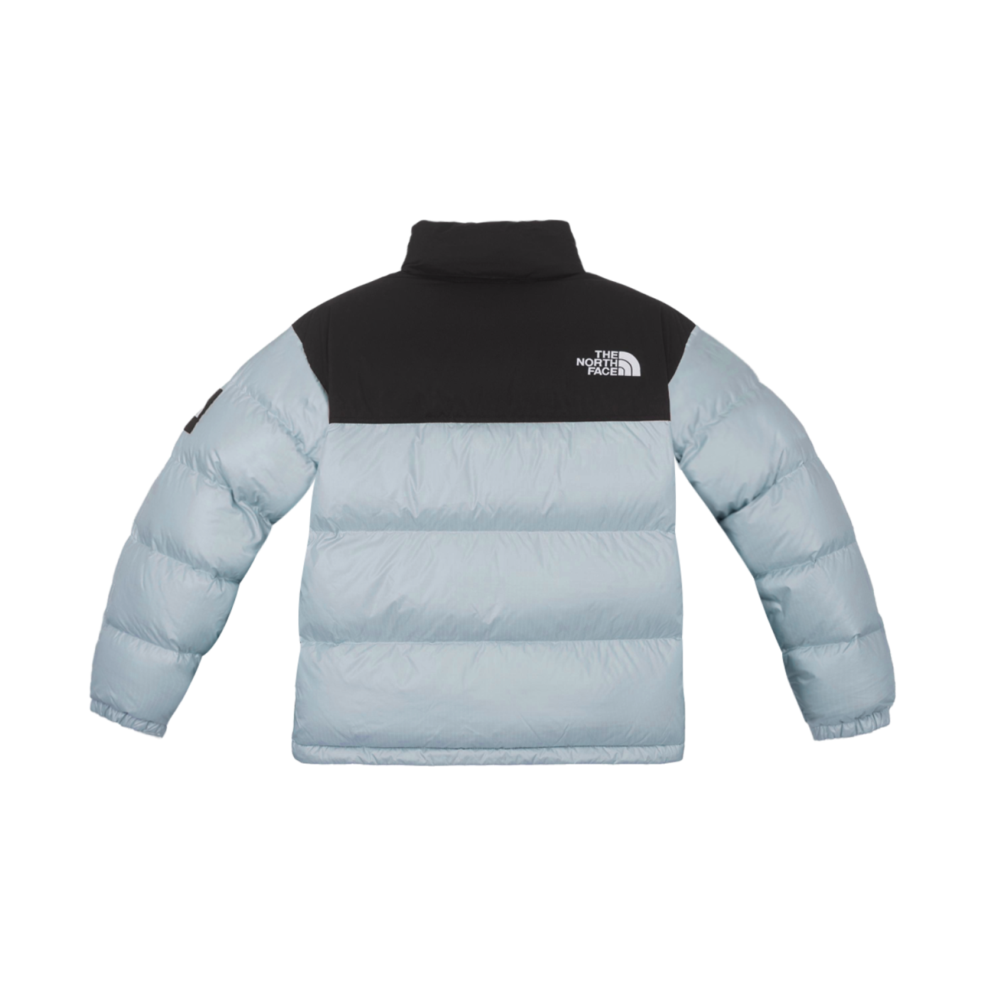 노스페이스 노벨티 눕시 RDS 다운 자켓 스카이 블루 - 24FW(The North Face Novelty Nuptse RDS Down Jacket Sky Blue - 24FW) - 2