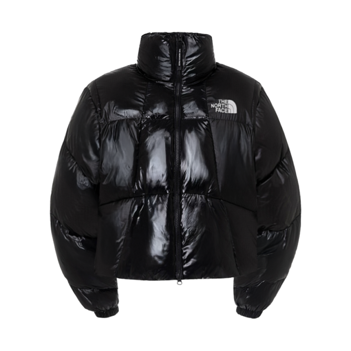 (W) 노스페이스 화이트 라벨 웨이브 RDS 다운 파카 블랙((W) The North Face White Label Wave RDS Down Parka Black) - 1