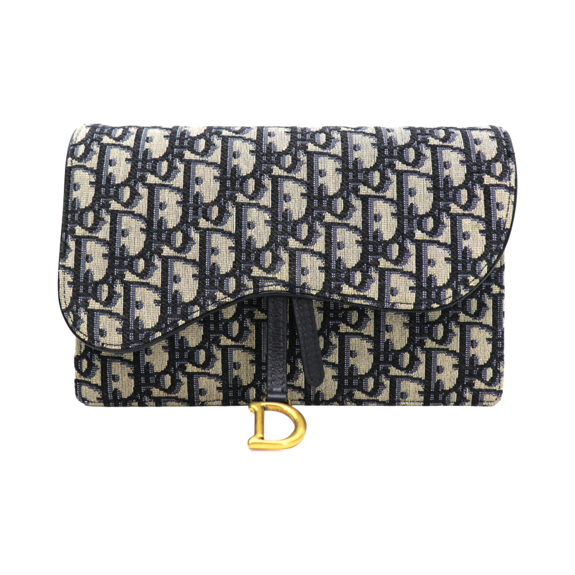 디올 새들 WOC 체인백