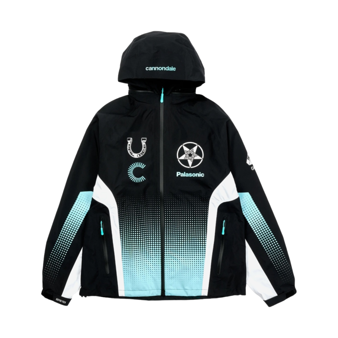 팔라스 x 캐논데일 매드 보이 고어텍스 팩라이트 자켓 블랙 민트 - 21FW