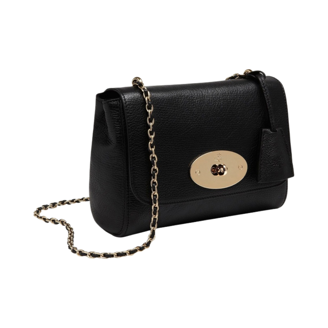 멀버리 글로시 고트 릴리 블랙(Mulberry Glossy Goat Lily Black) - 2