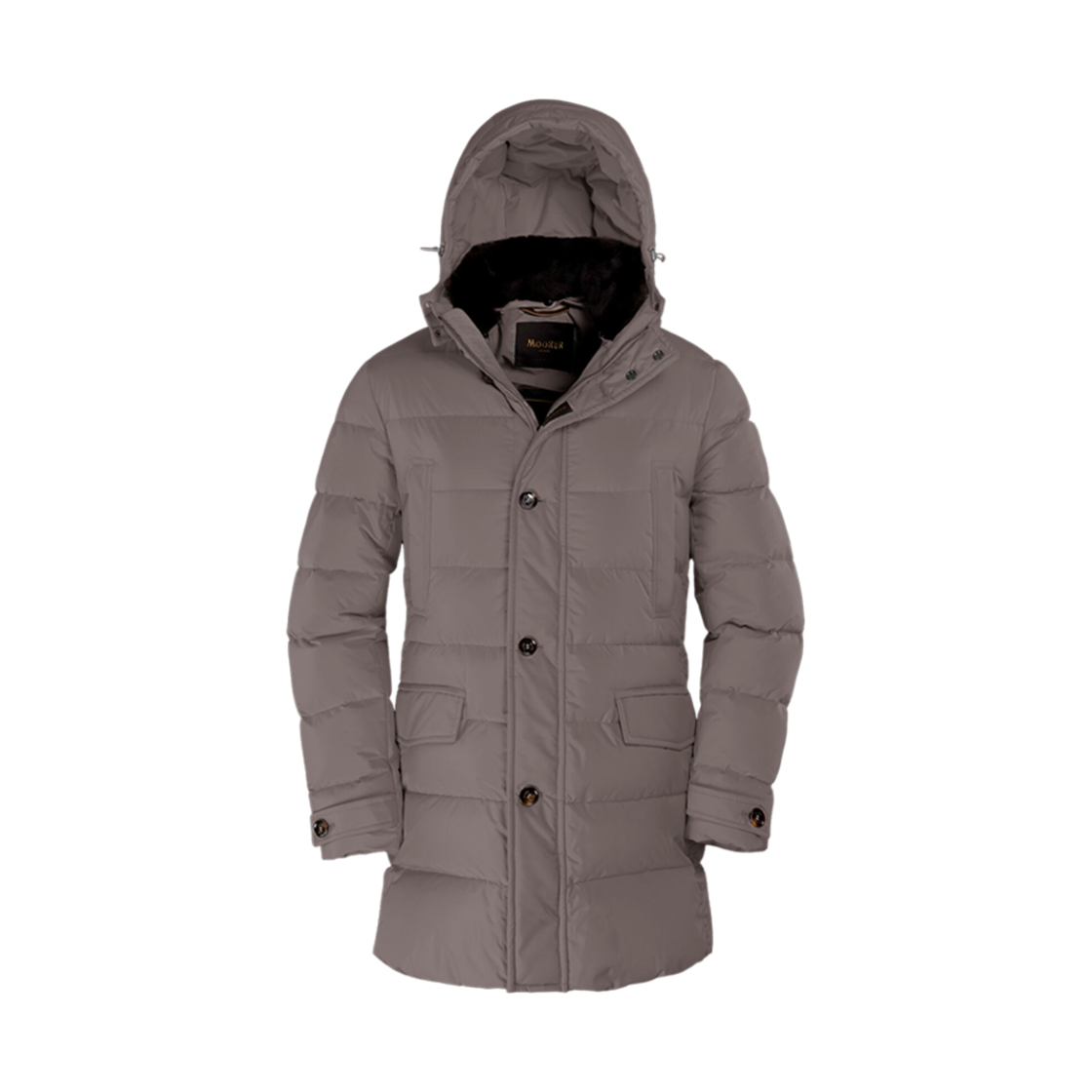 - Moorer Saturno STP Visone