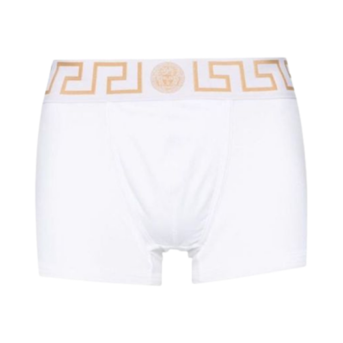 AU10026-1A10011-A81H Versace Greca Border Trunks White