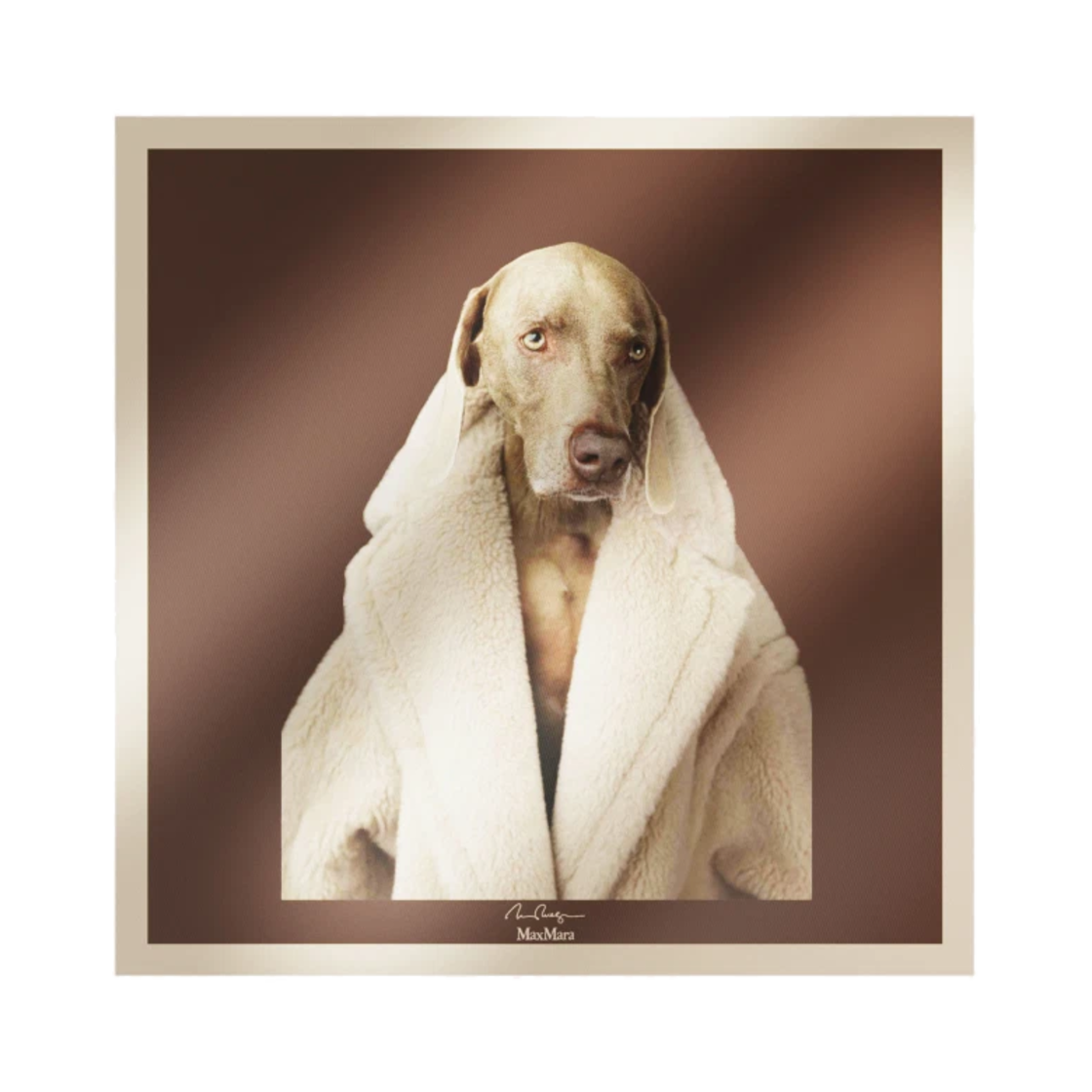 (W) 막스마라 프린티드 실크 스카프 토바코((W) Max Mara Printed Silk Scarf Tobacco) - 1