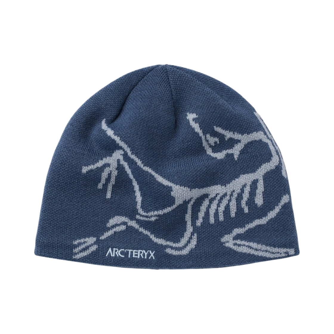 29803 Arc'teryx Bird Head Toque Moonlit