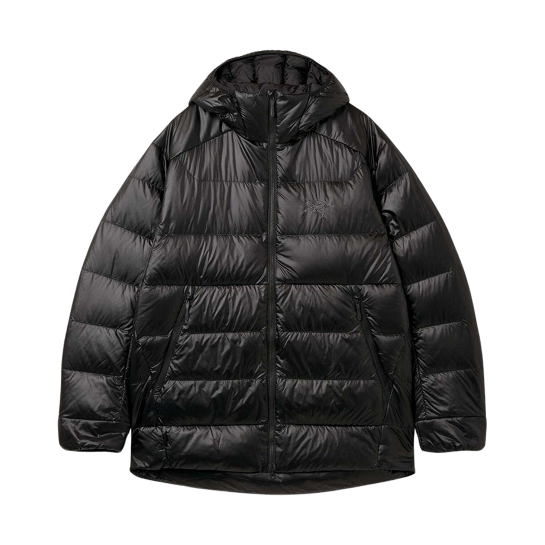 8429/10555 Arc'teryx Cerium SV Hoody Black