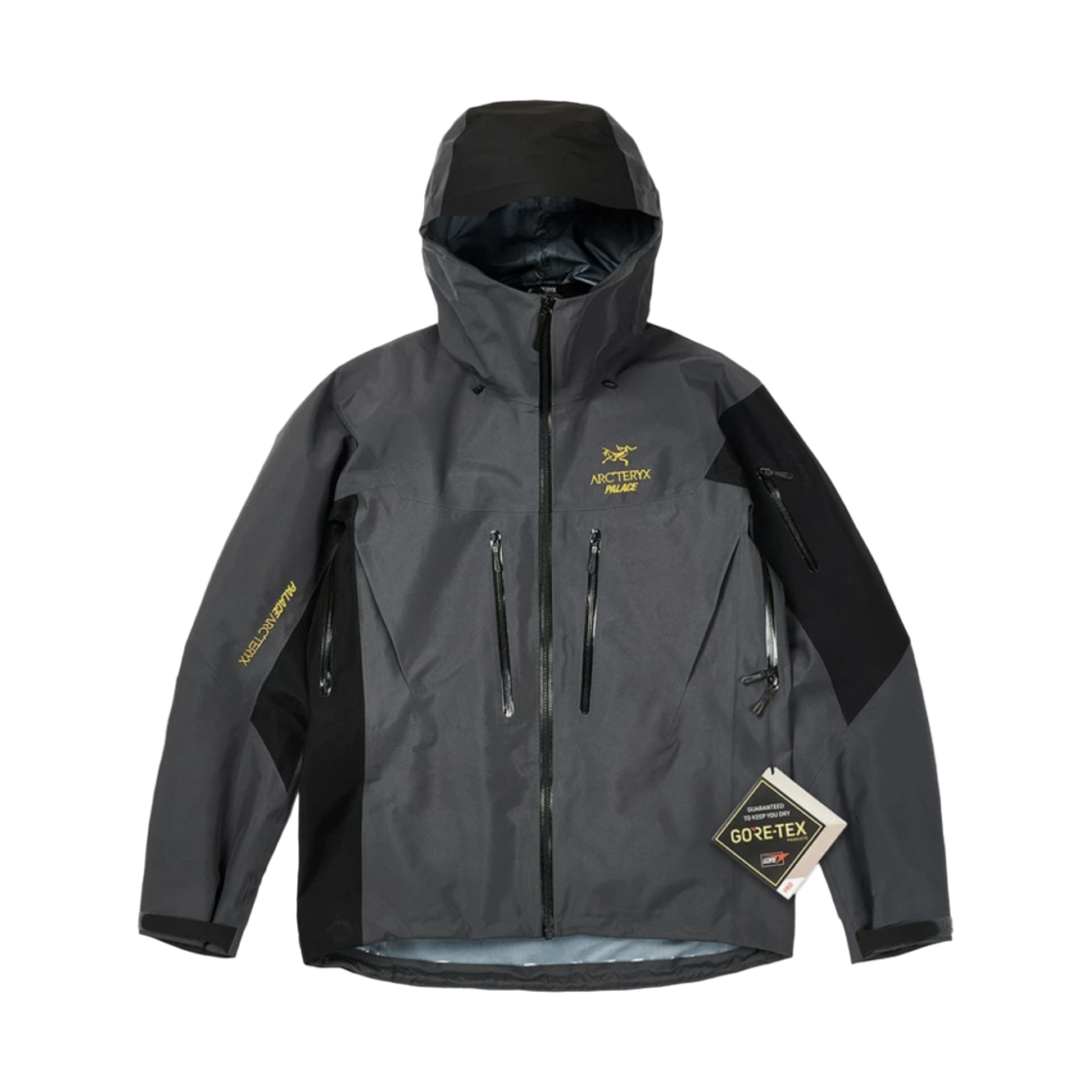 팔라스 x 아크테릭스 알파 SV 자켓 그레이 - 20FW(Palace x Arc'teryx Alpha SV Jacket Grey - 20FW)