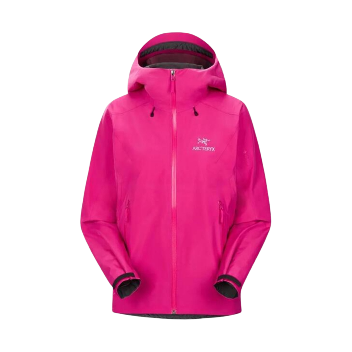 (W) 아크테릭스 베타 LT 자켓 테크노((W) Arc'teryx Beta LT Jacket Techno) - 1