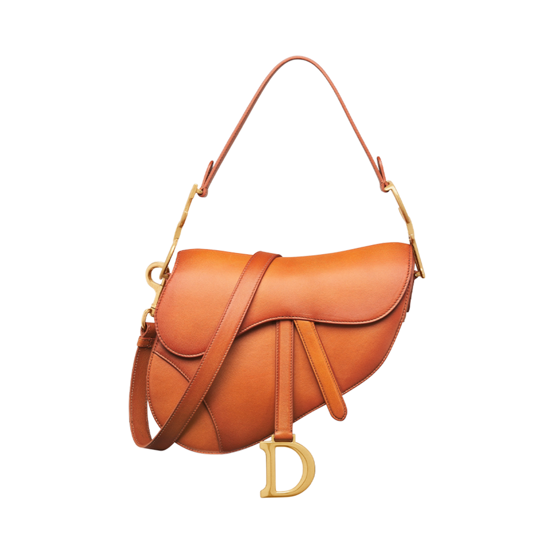 디올 새들 백 스트랩 A 파티나 피니쉬 브라운(Dior Saddle Bag with Strap with A Patina Finish Brown) - 1