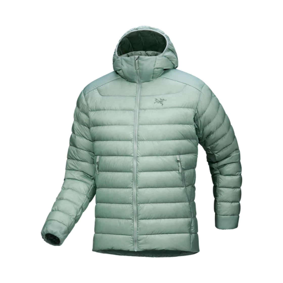Arc'teryx Arc'teryx Cerium Hoody Stone Green · S