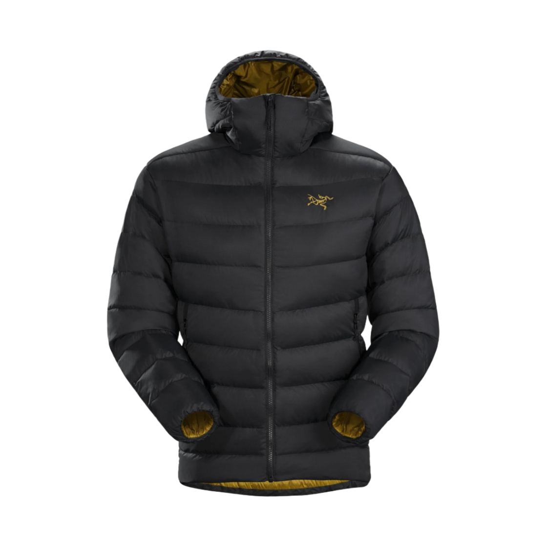 29926/21794 Arc'teryx Thorium AR Hoody 24K Black