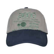 AEAE Web Logo 5 Pannel Ball Cap Grey & Navy