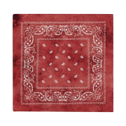 DEFGARMENTS Bleach Bandana Red