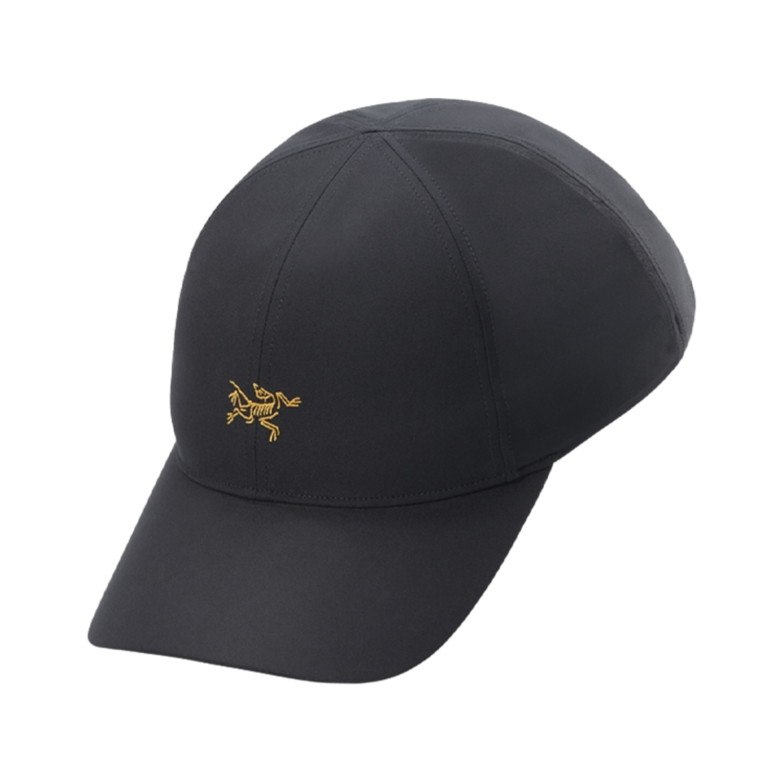 아크테릭스 스몰 버드 캡 24K 블랙(Arc'teryx Small Bird Cap 24K Black)