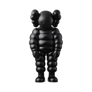 Kaws What Party Figure Black