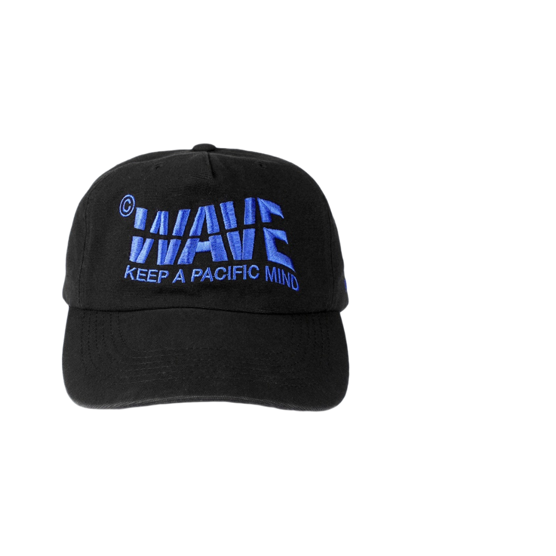 - Farfromwhat Wave Cap Black