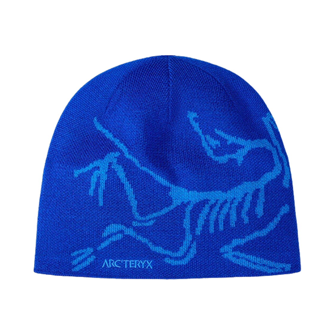 6756 Arc'teryx Bird Head Toque Vitality Fluidity