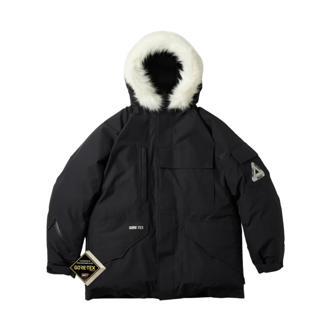 - Palace Gore-Tex Down Parka Black - 22FW