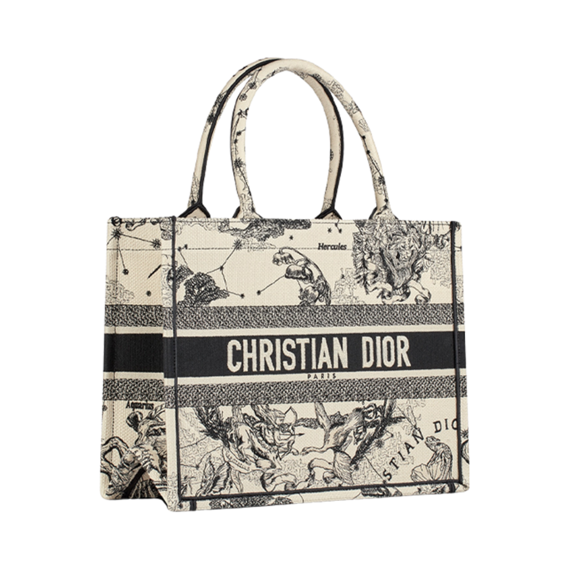 디올 미디움 북 토트백 라떼 블랙 조디악(Dior Medium Book Tote Latte Black Zodiac) - 3