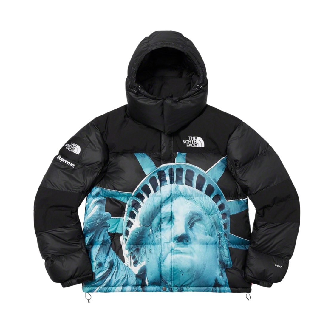希少supreme llic mountain jacket 美品 Supreme/The North Face Statue of Liberty Mountain Jacket - UG.SHAFT