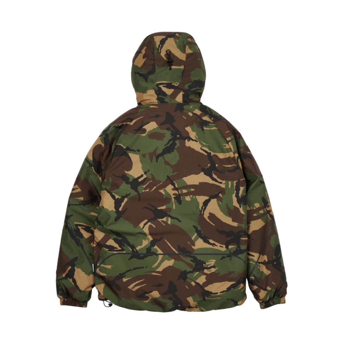 팔라스 고어텍스 인피니움 P-테크 자켓 카모 - 21FW(Palace Gore-tex Infinium P-Tech Jacket Camo - 21FW) - 2