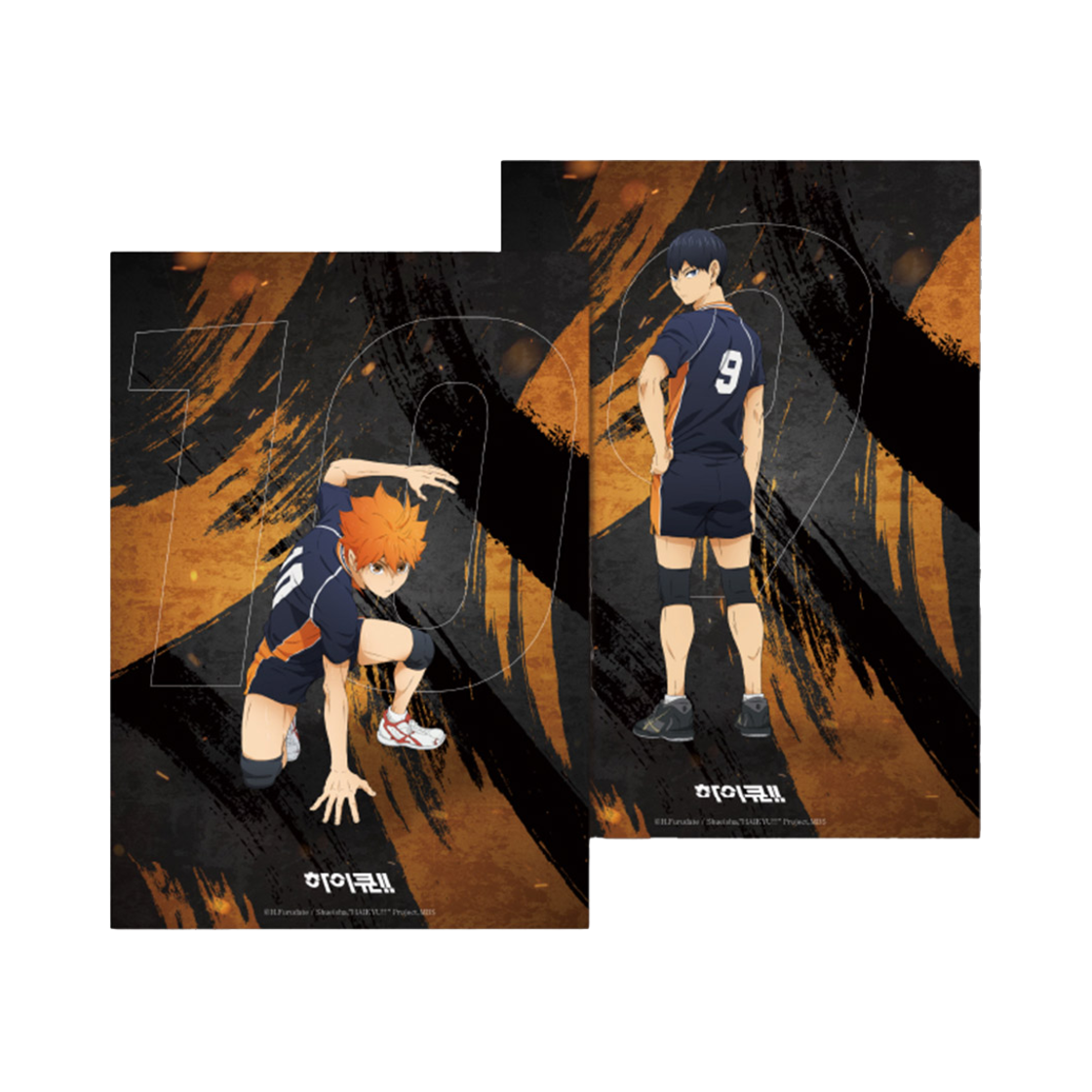 8809896027489 HAIKYU HINO National Victory PP Poster 2 Type Set Hinata & Kageyama