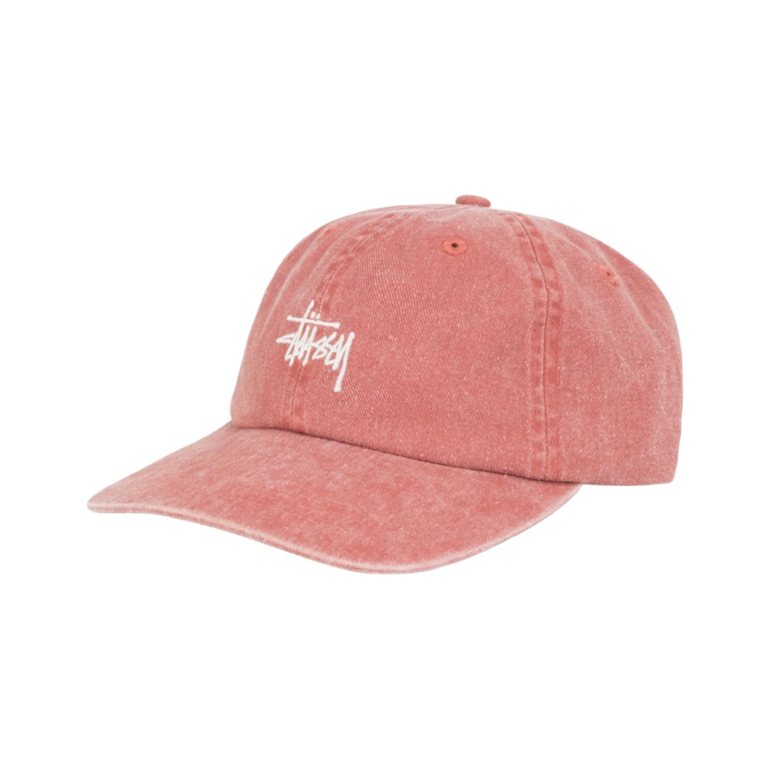 스투시 워시드 스탁 로우 프로 캡 러스트