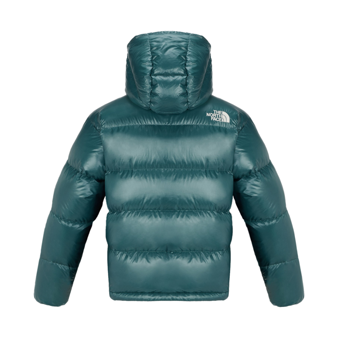 노스페이스 시에라 RDS 다운 자켓 다크 그린 - 24FW(The North Face Sierra RDS Down Jacket Dark Green - 24FW) - 2