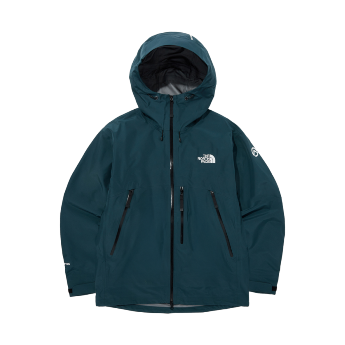 NJ2GQ03D The North Face Felix Gore-Tex Jacket Pine