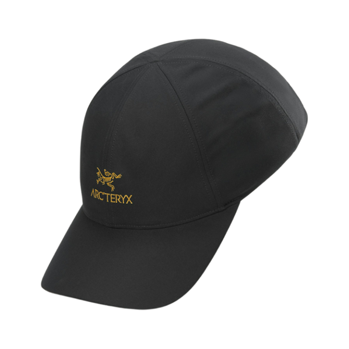 9463 Arc'teryx Bird Word Cap 24K Black