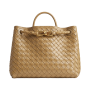 Bottega Veneta Medium Andiamo Dark Praline