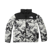 The North Face 1996 Novelty Nuptse Jacket Nutral Gray
