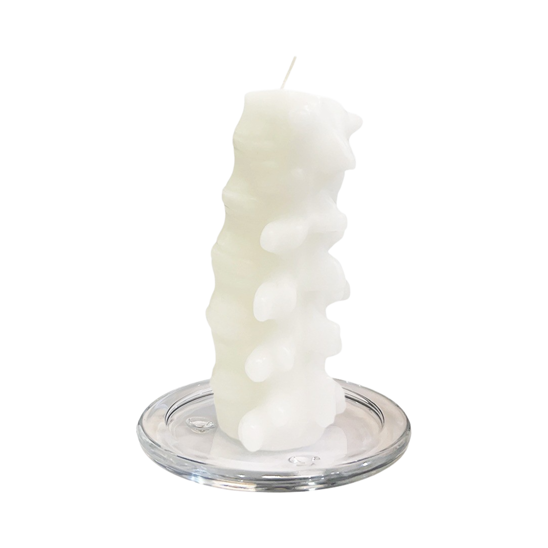 써저리 본 캔들(Surgery Bone Candle)