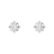 (W) Swarovski Attract Stud Earrings Round Cut White Plated