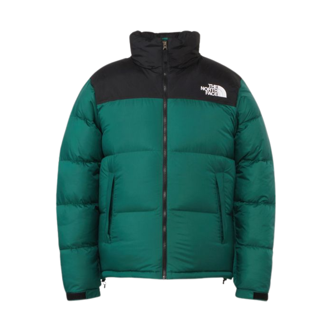 (W) 노스페이스 숏 눕시 자켓 TNF 그린 - 24FW((W) The North Face Short Nuptse Jacket TNF Green - 24FW) - 1