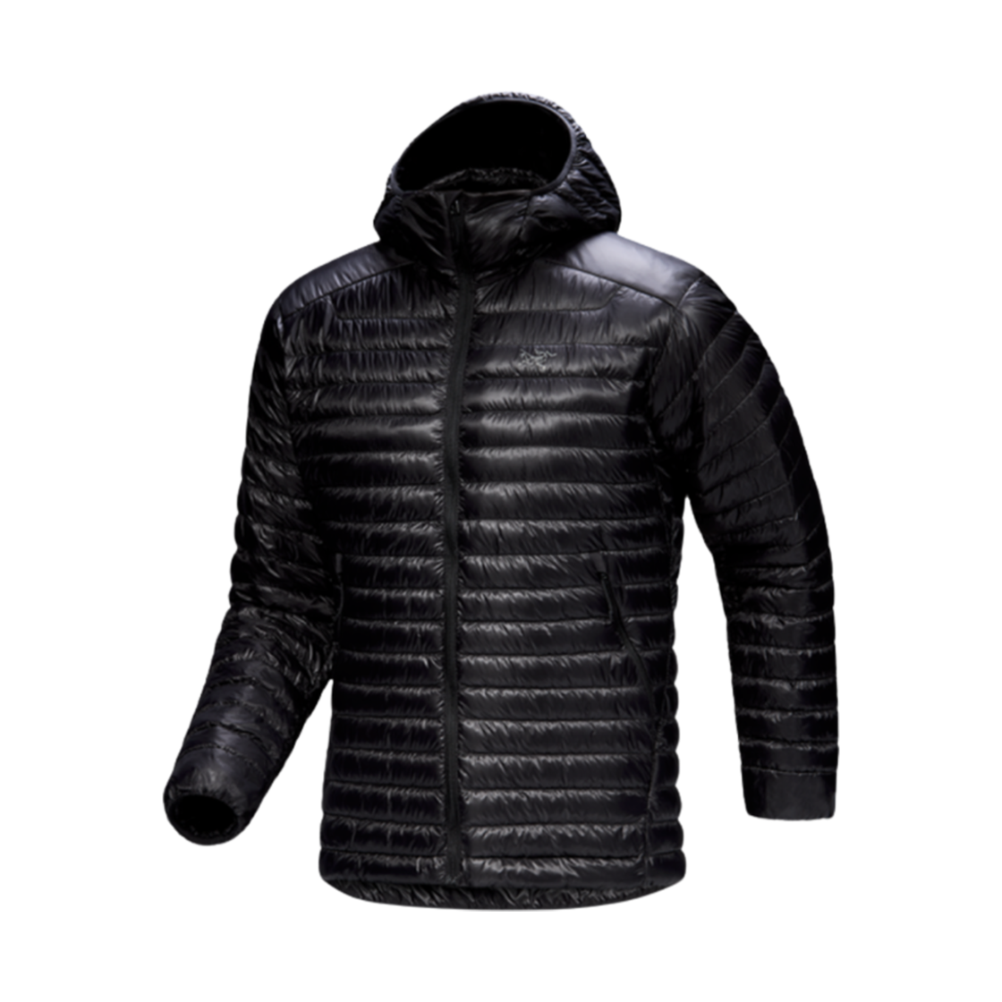 9558 Arc'teryx Cerium SL Hoody Black