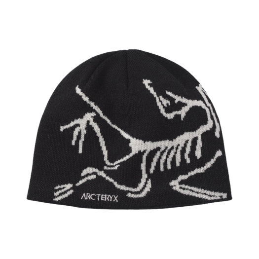 29803/6756 Arc'teryx Bird Head Toque Orca