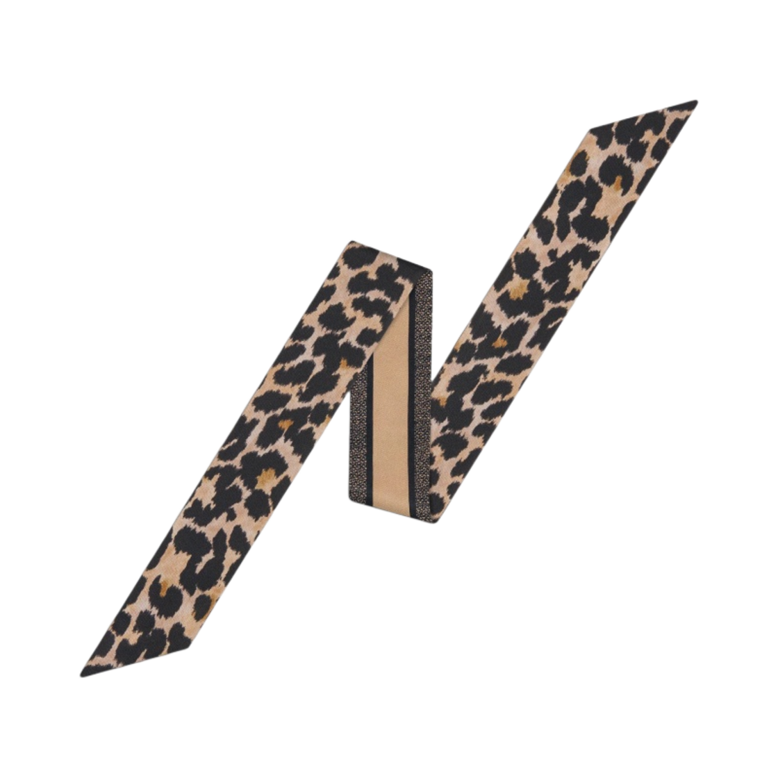 (W) 디올 미짜 미차 스카프 실크 트윌 베이지 멀티컬러((W) Dior Mizza Mitzah Scarf Silk Twill Beige Multicolor) - 1