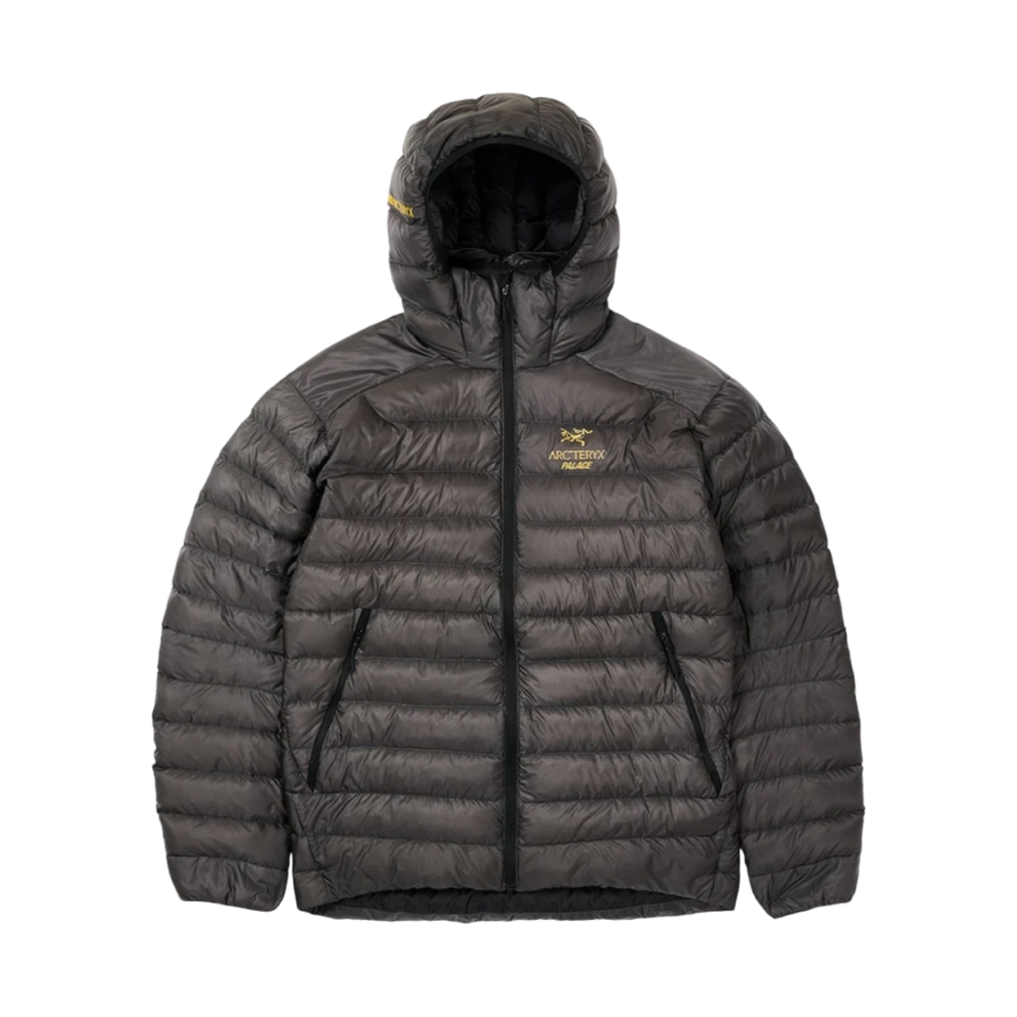 팔라스 x 아크테릭스 세륨 LT 후드 - 20FW(Palace x Arc'teryx Cerium LT Hoody - 20FW)